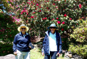 Garden06