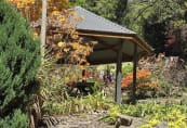 Garden08