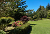 Garden10