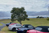 goulburn-2024-13.jpeg