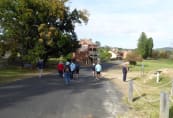 Hill11