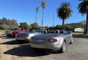 Lined up at Eogowra