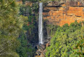 Fitzroy Falls#1