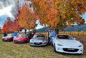 Bright colours and some of our MX5ers