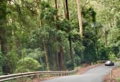 Heading to Kangaroo Valley