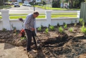 planting-bee4.jpg
