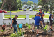 planting-bee7.jpg