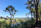 Streeton Lookout 2