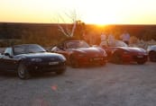 sunset4.jpg