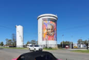 tony-silo.jpg