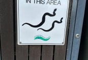 water20