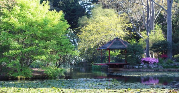 SC Illawarra Rhododendron Gardens