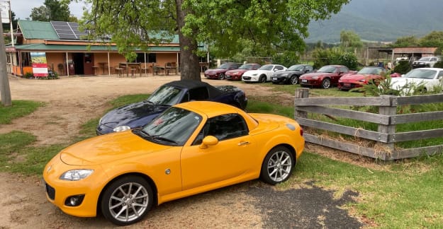 Goldilocks at Araluen