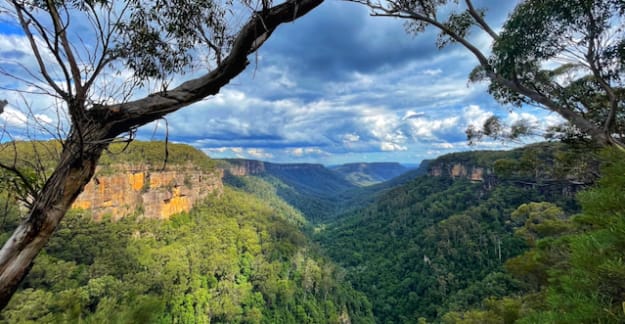 From Fitzroy Falls