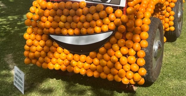 Oranges!