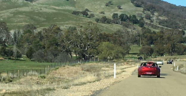 Along Mountain Creek Road