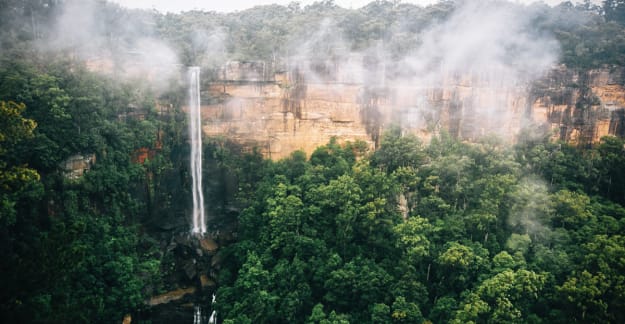 Kangaroo valley