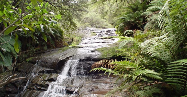 Leura waterfall