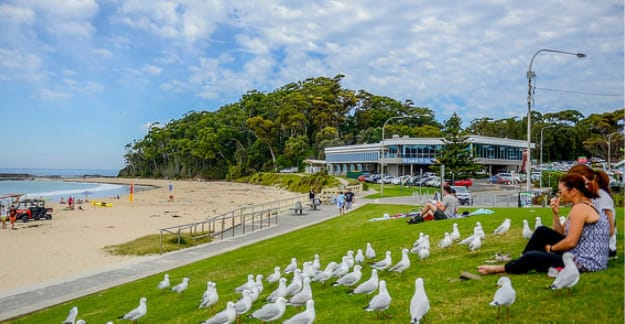 Mollymook F&C