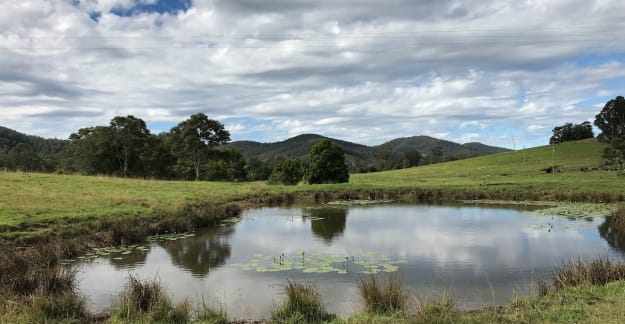 Come and join your Mid North Coast members on what will be a very scenic run (bring your camera), to PAPPINBARRA NSW.