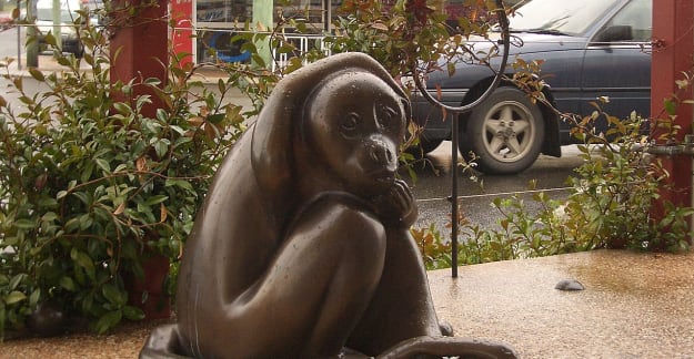monkey01