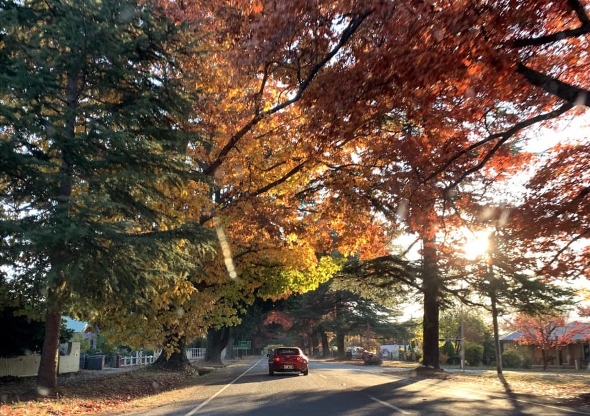 Bright's Warm Autumn Colours