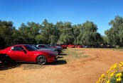 A 'corner' of MX-5s