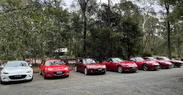 Fitzroy Falls line up