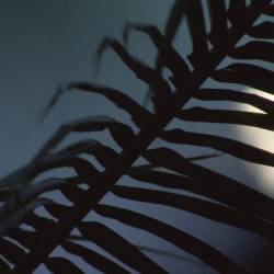 In Light of COVID-19: What Looks Different Now?
