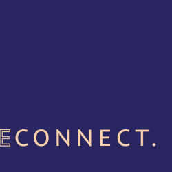 Reconnect. An Online Series
