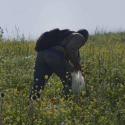 Foragers by Jumana Manna