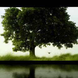 Amar Kanwar