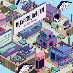 IM_Capstone_final_FINAL