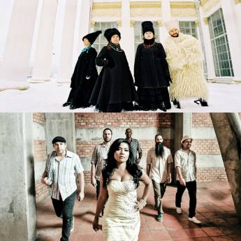 DAKHABRAKHA / DENGUE FEVER