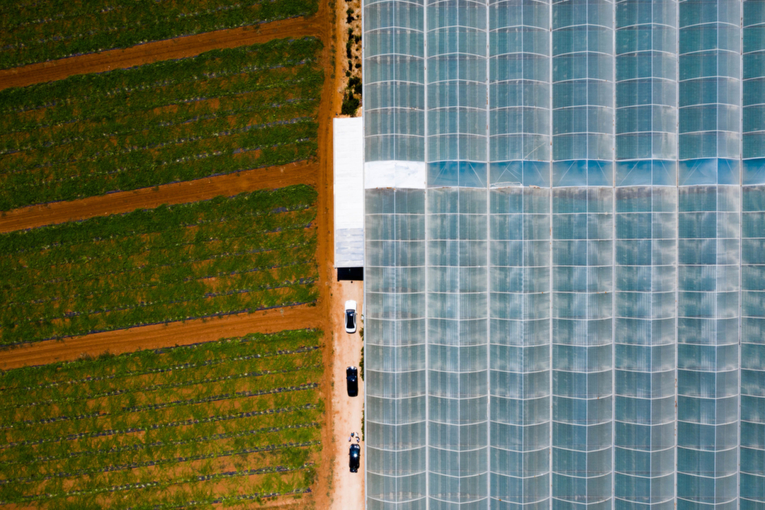The Transformative Power of the Anthropocene