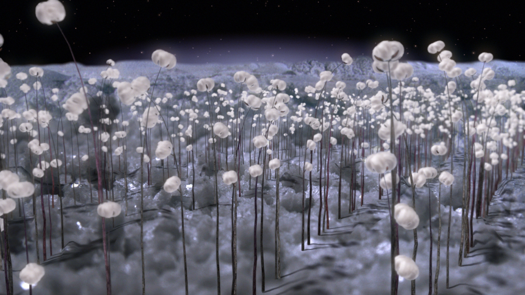 Atmospheres