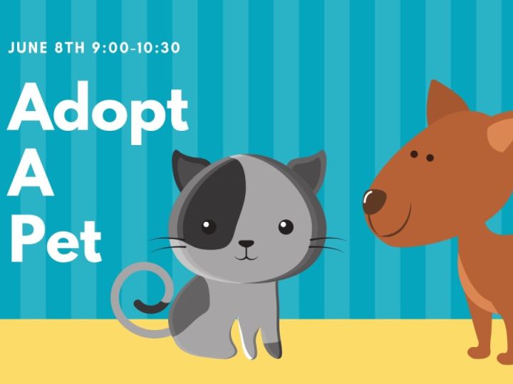 Adopt a Pet