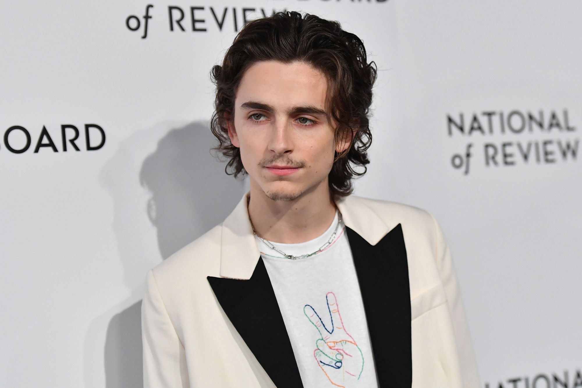 Timothée Chalamet On 'Adultifying', Being Back Home in NYC and His Style  Icons tagged actor - MAFF