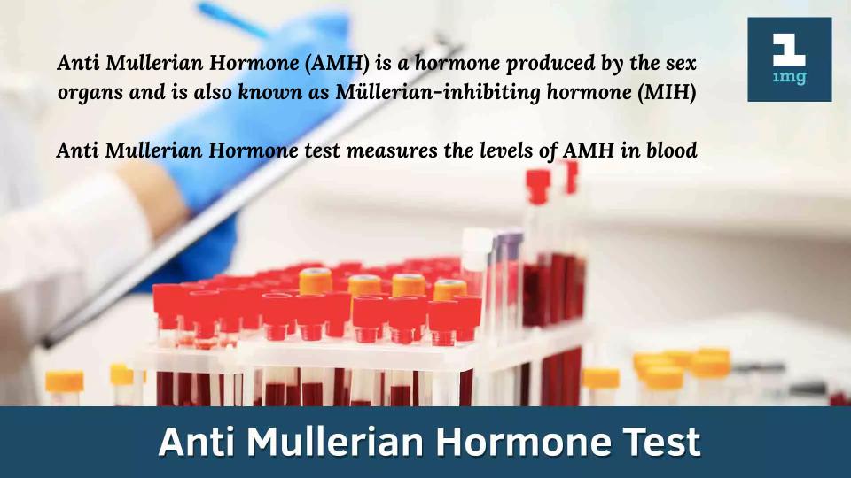 Anti Mullerian Hormone