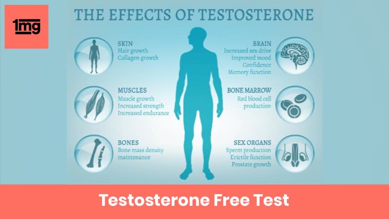 Testosterone Free