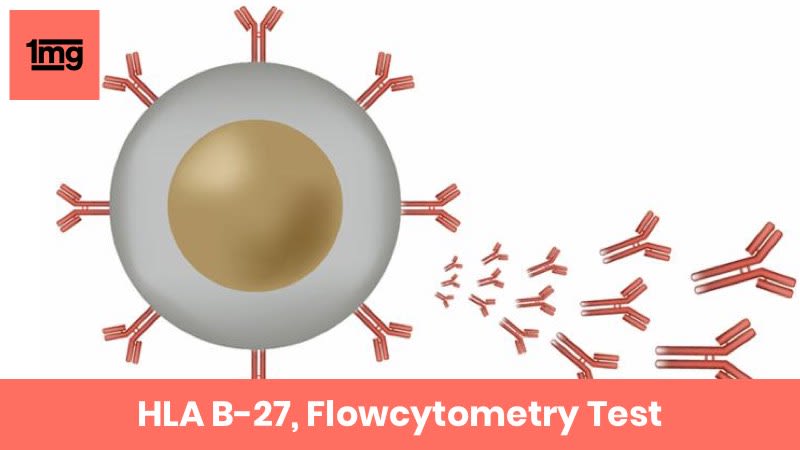 HLA B-27, Flowcytometry