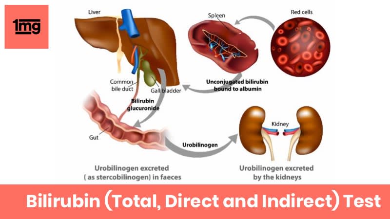 Bilirubin (Total, Direct and Indirect)