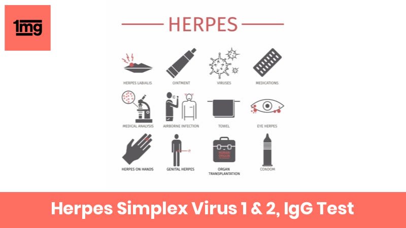 Herpes Simplex Virus 1 & 2, IgG