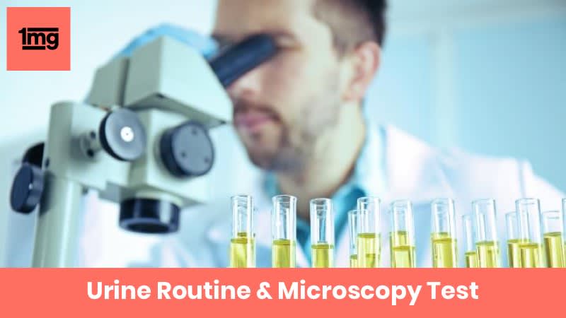 Urine Routine & Microscopy