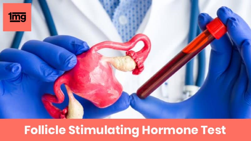 Follicle Stimulating Hormone FSH Purpose Normal Range Of Results 1mg follicle-stimulating-hormone-fsh-purpose-normal-range-of-results-1mg