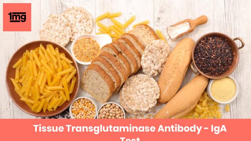 Tissue Transglutaminase Iga Normal Range Uk Tissue Transglutaminase Iga Normal Range Uk