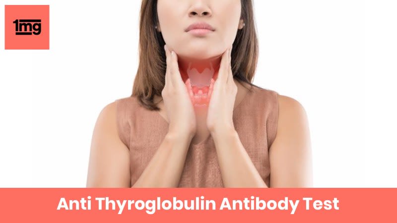 Anti Thyroglobulin Antibody