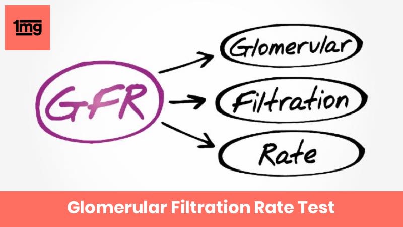 Glomerular Filtration Rate