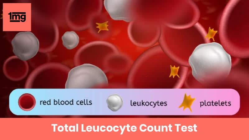 Total Leucocyte Count