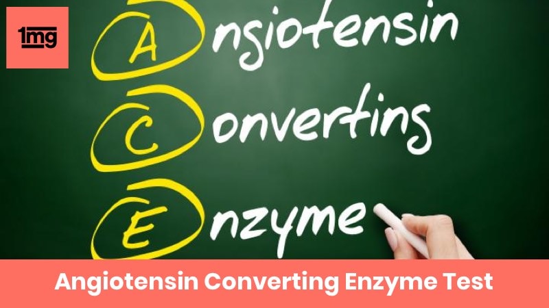 Angiotensin Converting Enzyme
